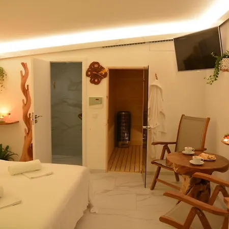 Wellness Bohemia Гостевой дом 3*