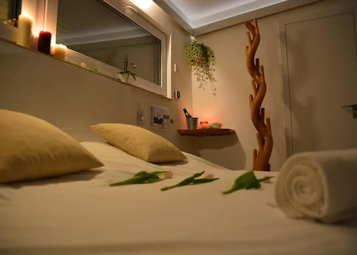 Wellness Bohemia 3* براغ