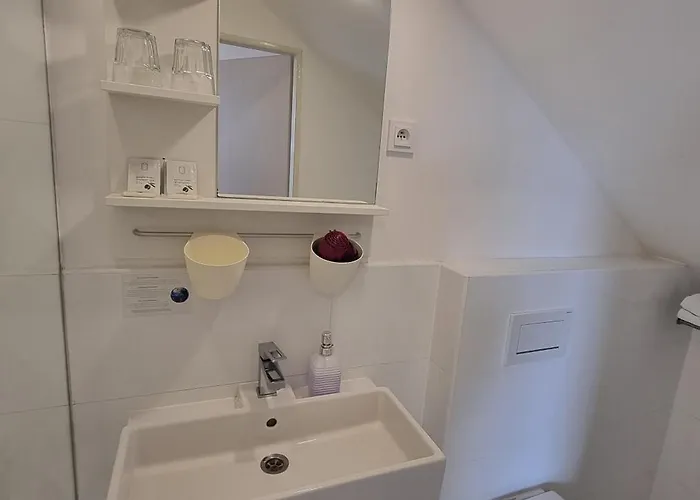 Wellness Bohemia بيت ضيافة 3*