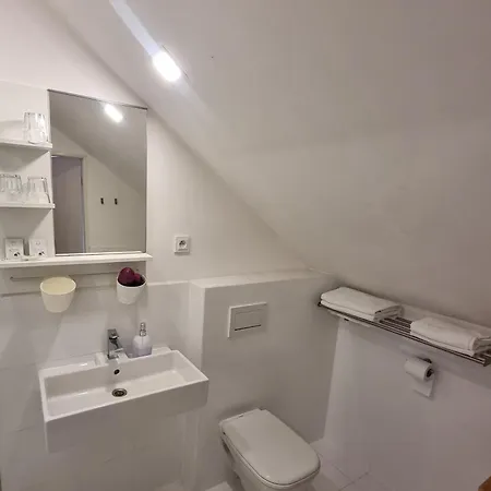 Wellness Bohemia Affittacamere Praga